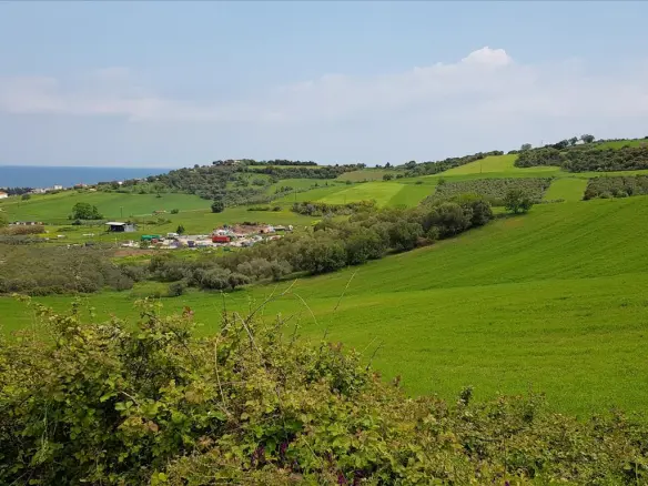 Land In Aristotle, Greece