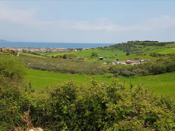 Land In Aristotle, Greece