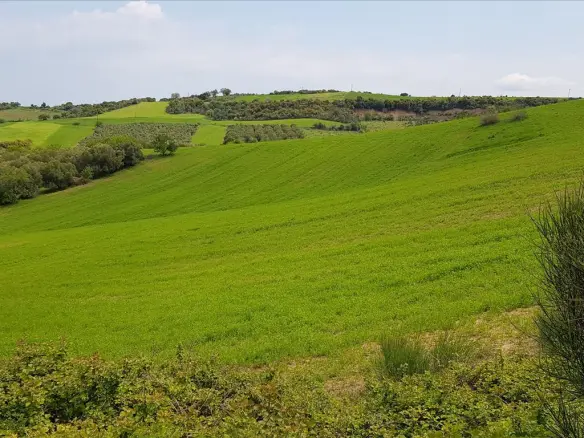 Land In Aristotle, Greece