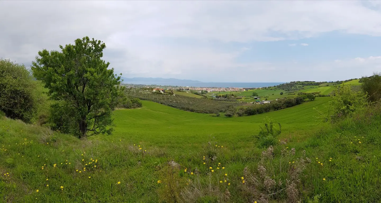 For Sale Land 18000 M² In Athos, Chalkidiki