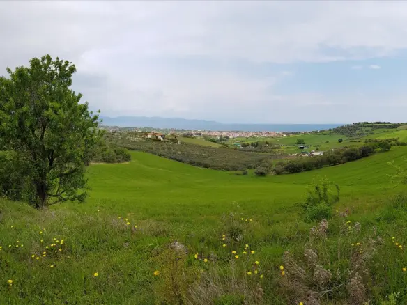 Land In Aristotle, Greece