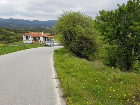 Land In Aristotle, Greece