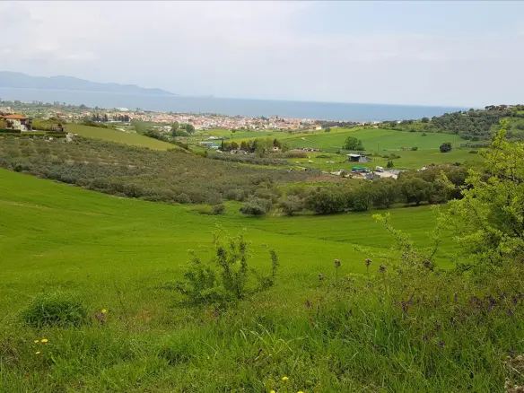 Land In Aristotle, Greece