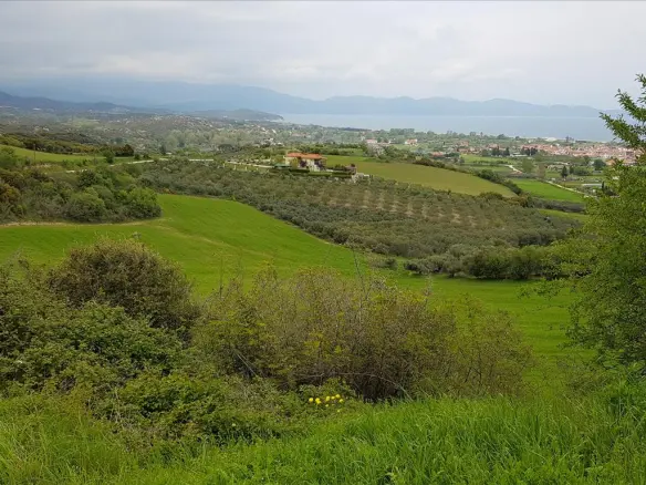Land In Aristotle, Greece