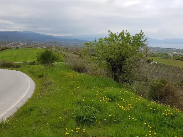 Land In Aristotle, Greece