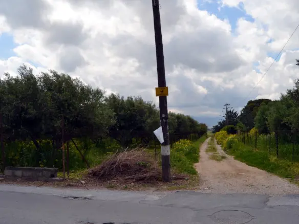 Land In Gazi, Greece