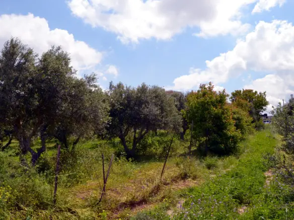 Land In Gazi, Greece