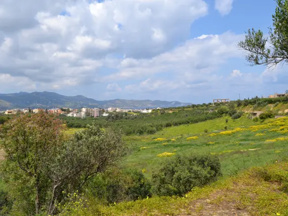Land In Gazi, Greece