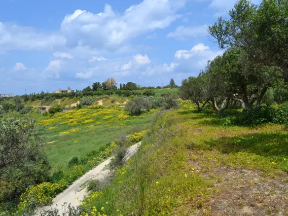 For Sale Land 4700 M² In Crete