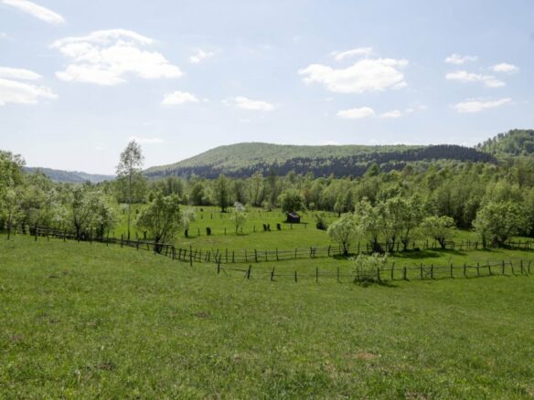 Owner: Unique 8,000sqm Luxury Estate – Restored Heritage Cottage & Modern Design Villa, Muscel Area