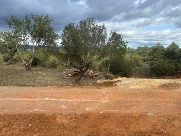 Terreno Excelente