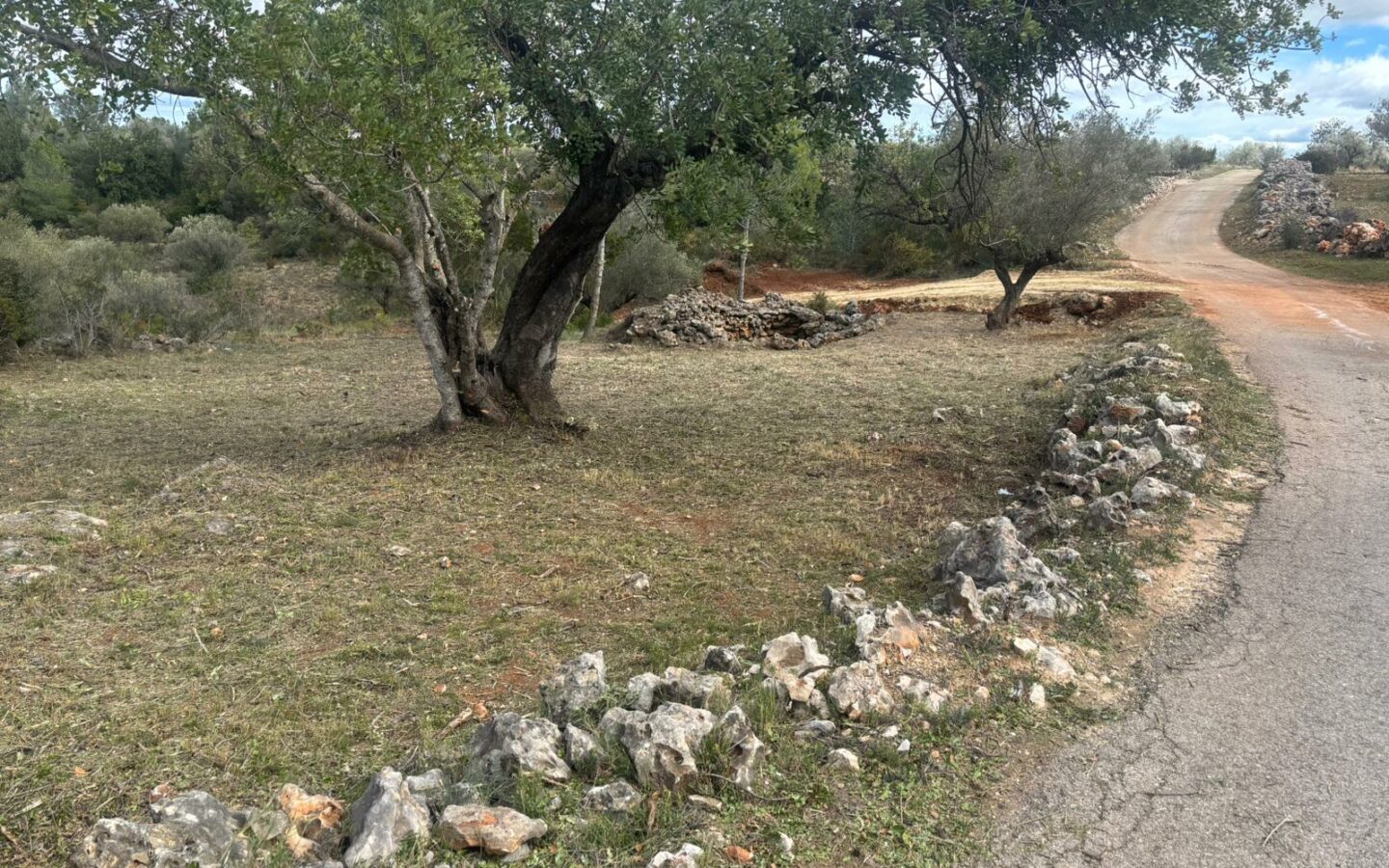 Terreno Excelente