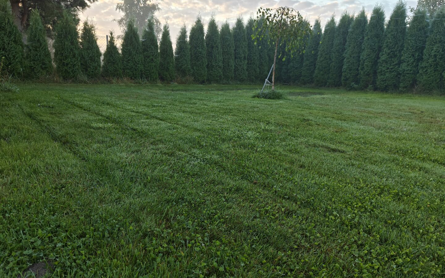Recreational Agricultural Plot Village House
