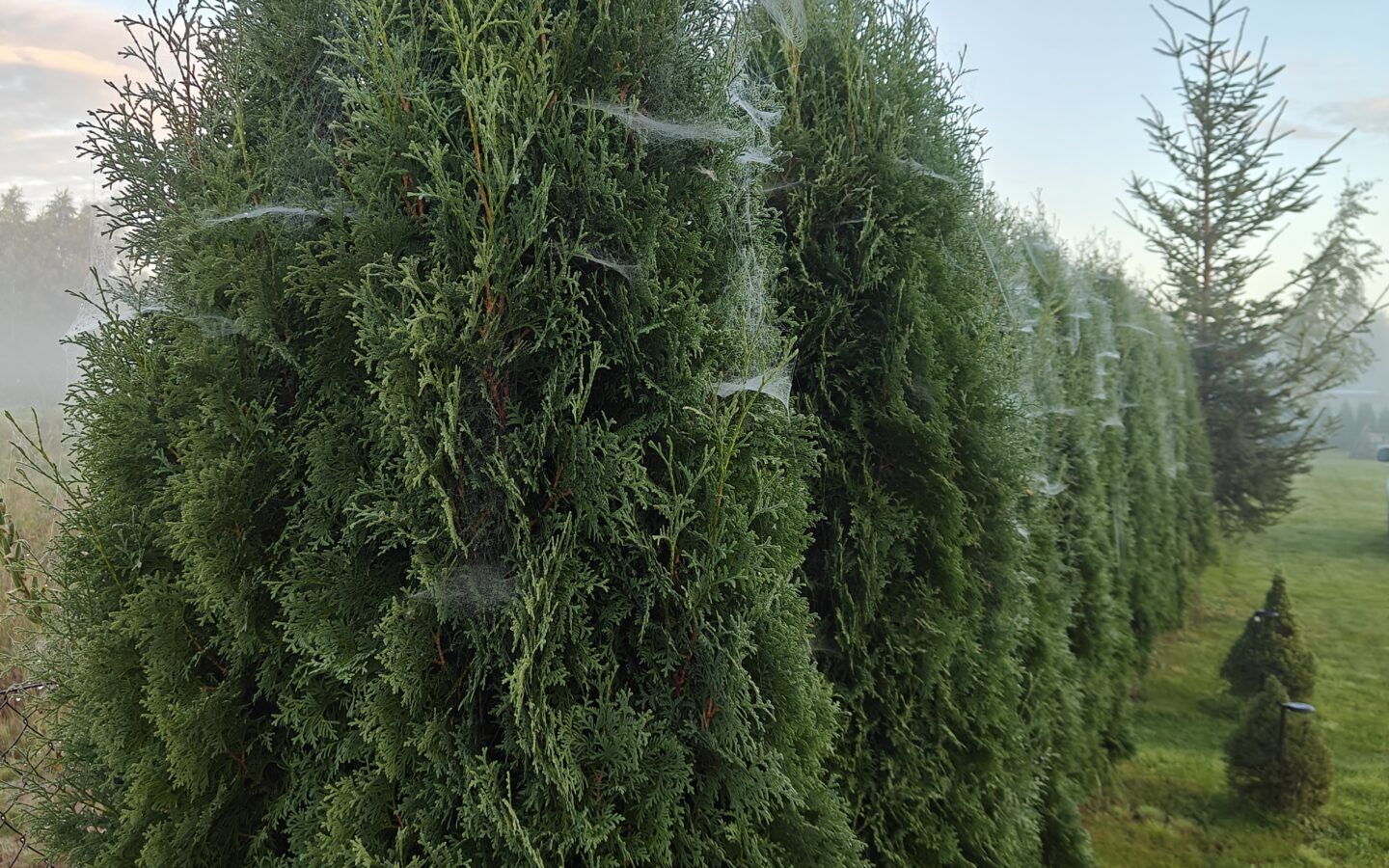 Recreational Agricultural Plot Village House