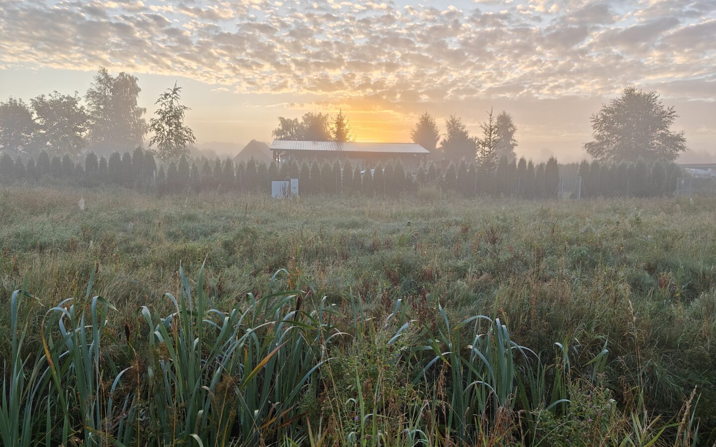 Recreational Agricultural Plot Village House