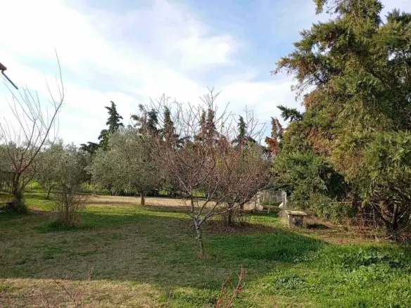 3-bedroom Detached House In Nea Propontida, Greece (110 M²)