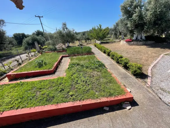 Detached House In Messapia, Greece (150 M²)