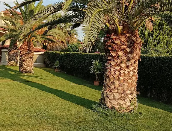 Detached House In Anthidonos, Greece (143 M²)