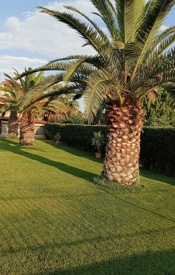 House Of 143 M² On Euboea Island