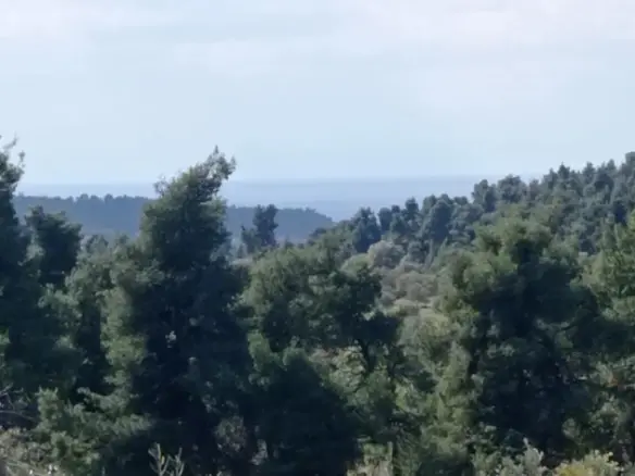 Land In Kassandra, Greece