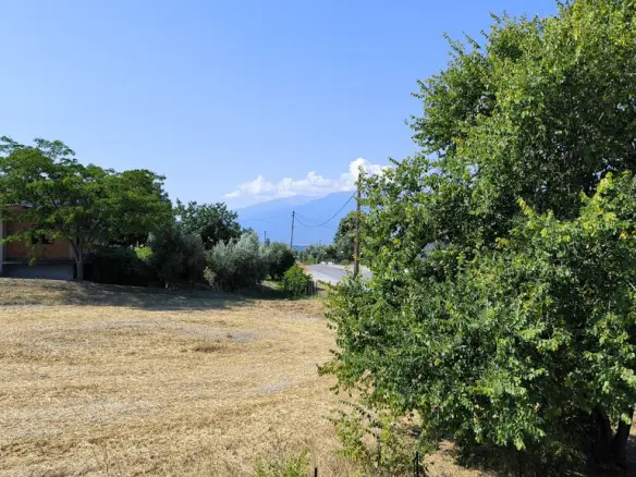 3-bedroom Detached House In Elafina, Greece (238 M²)