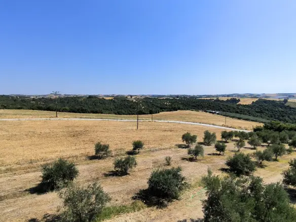 3-bedroom Detached House In Elafina, Greece (238 M²)