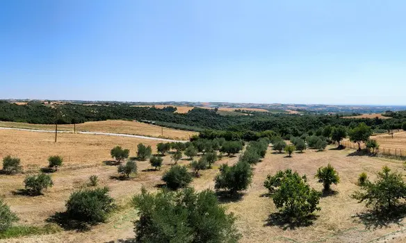 3-bedroom Detached House In Elafina, Greece (238 M²)
