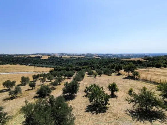 3-bedroom Detached House In Elafina, Greece (238 M²)