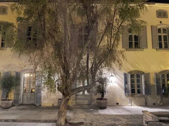 6-bedroom Town House In Mirepoix, France (508 M²)