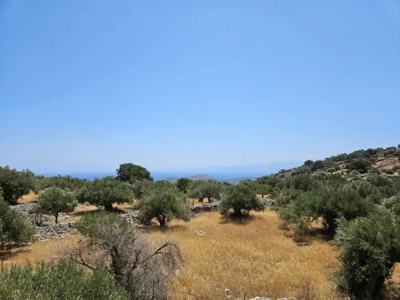 Land In Agios Nikolaos, Greece