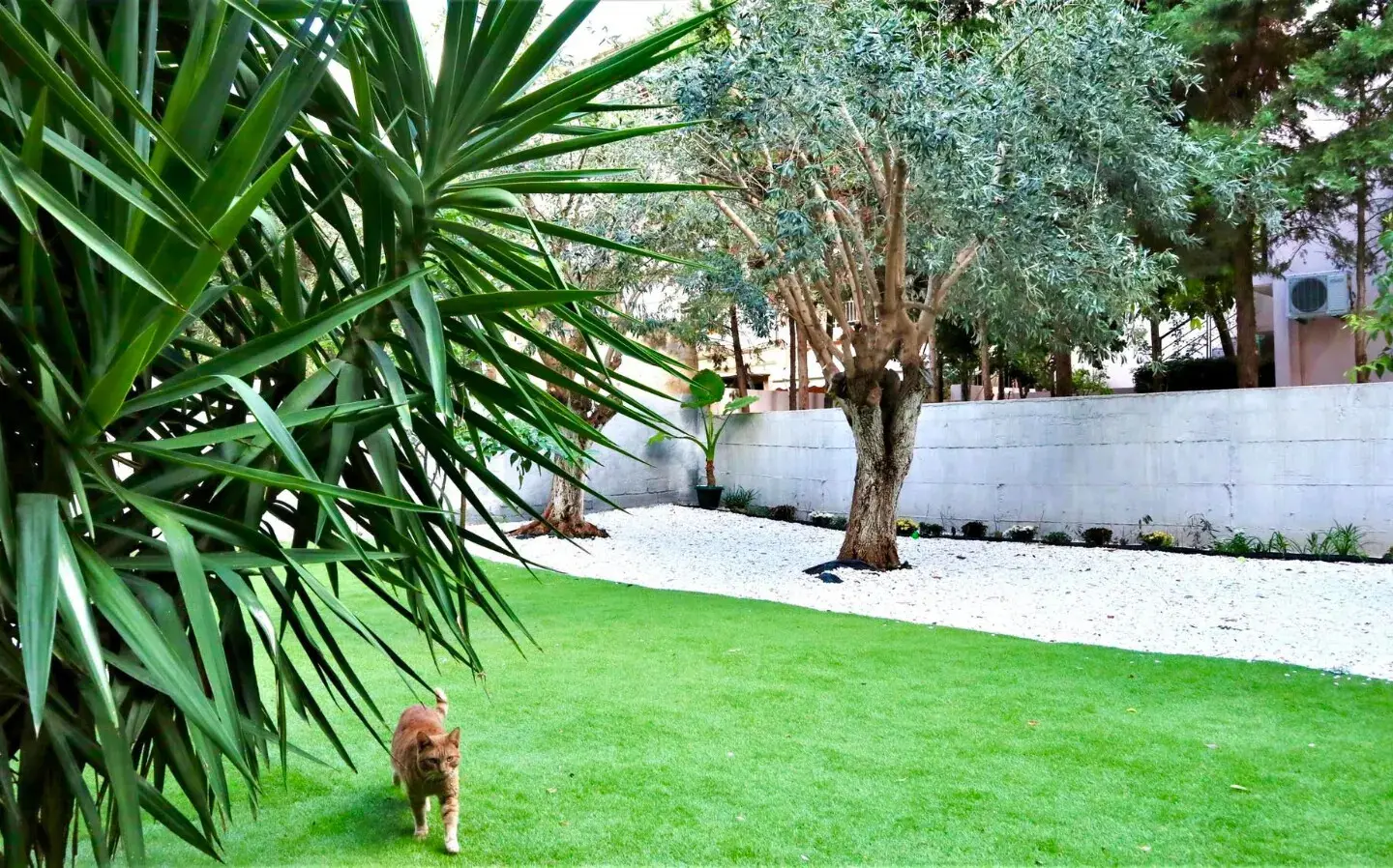 Apartment Of 58 M² In Athens