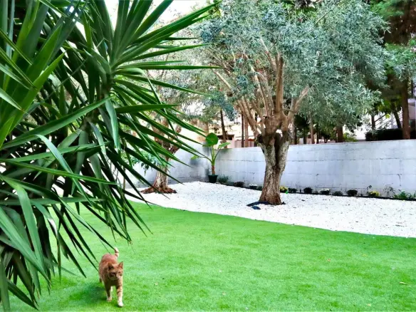 Flat In Greece (58 M²)