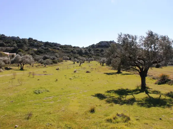Land In Rhodes, Greece