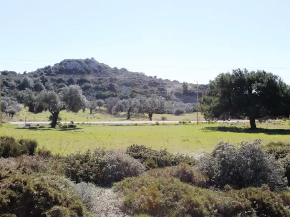 Land In Rhodes, Greece