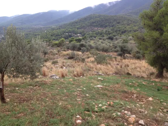 Land In Saronikos, Greece