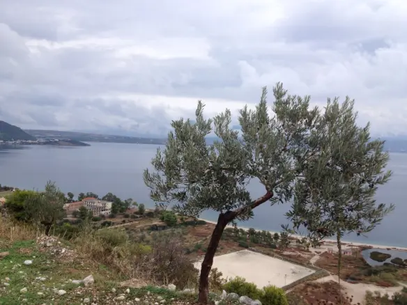 Land In Saronikos, Greece