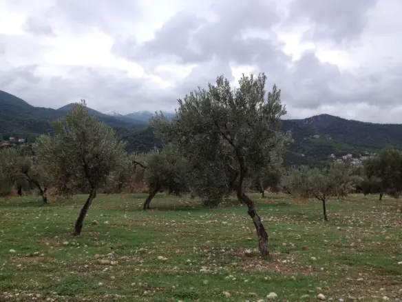 Land In Saronikos, Greece