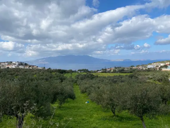 Land In Kolimvari, Greece