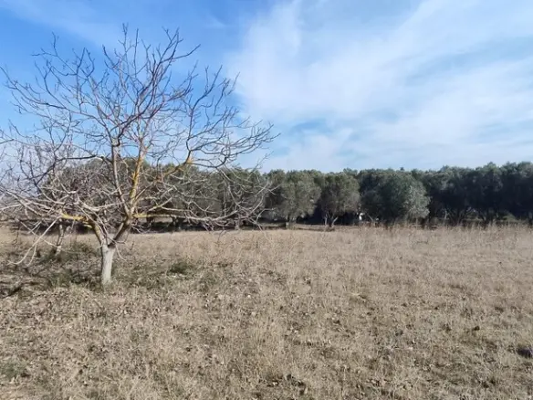 Land In Thermaikos, Greece