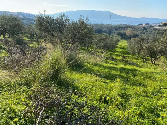 Land In Kolimvari, Greece
