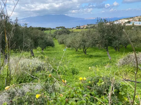 Land In Kolimvari, Greece