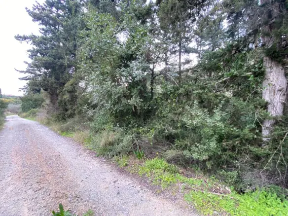 Land In Armenoi, Greece