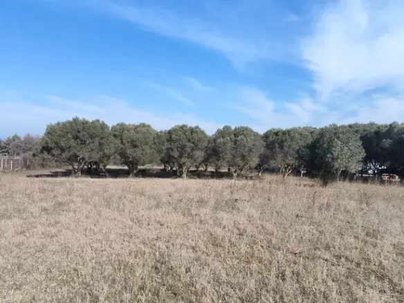 Land In Thermaikos, Greece