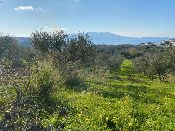 Land In Kolimvari, Greece