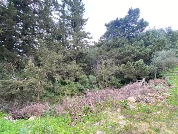 Land In Armenoi, Greece