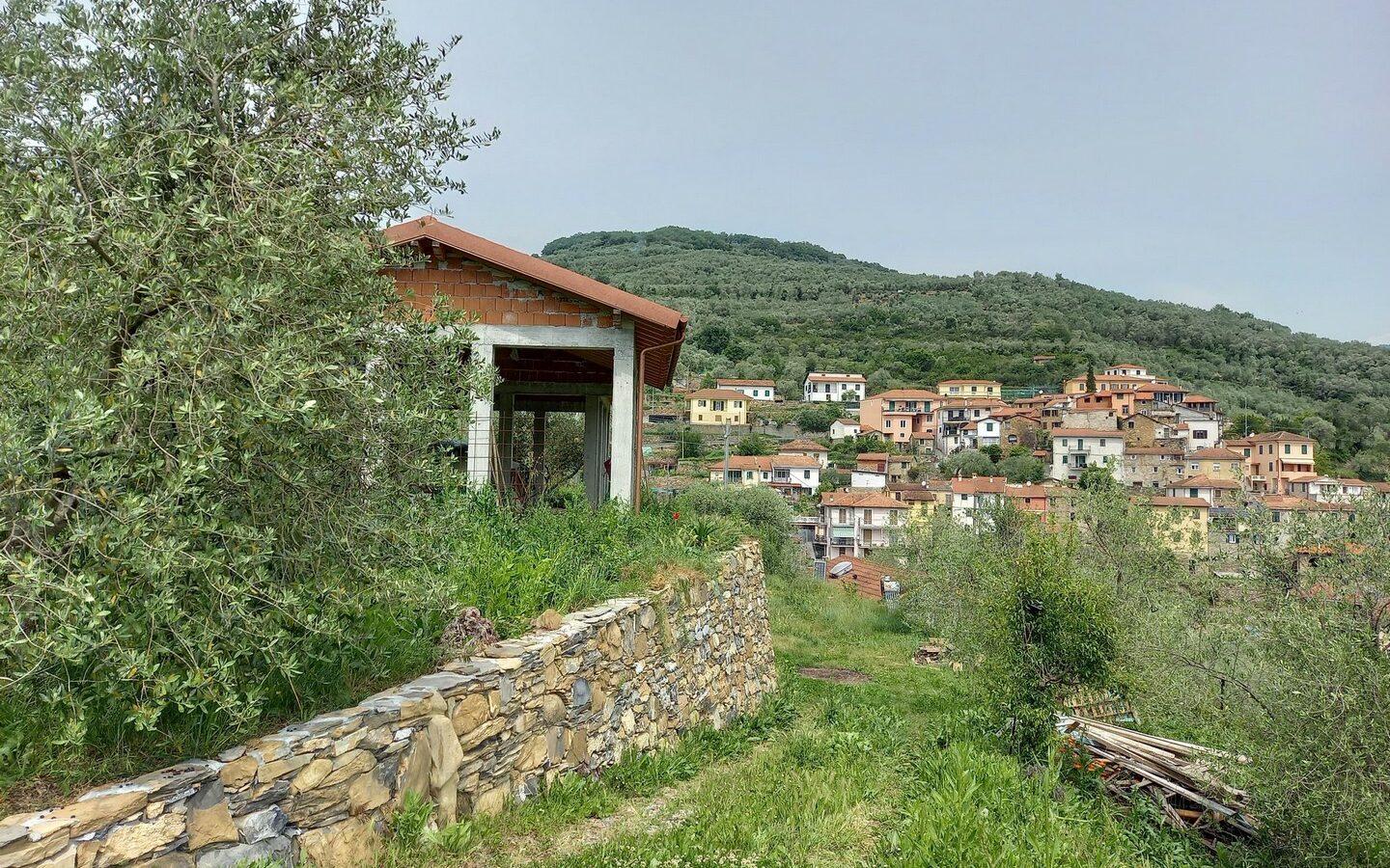 V22 Entroterra Di Imperia A Lucinasco Struttura In Cemento Armato E Terreno Con Uliveto