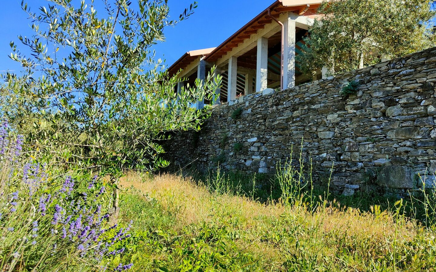 V22 Entroterra Di Imperia A Lucinasco Struttura In Cemento Armato E Terreno Con Uliveto