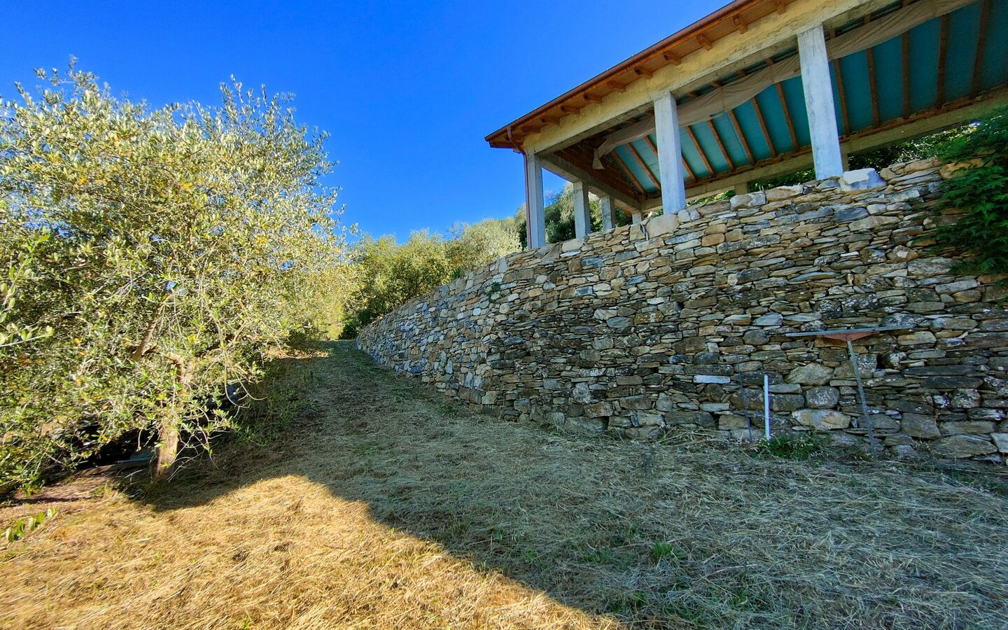 V22 Entroterra Di Imperia A Lucinasco Struttura In Cemento Armato E Terreno Con Uliveto