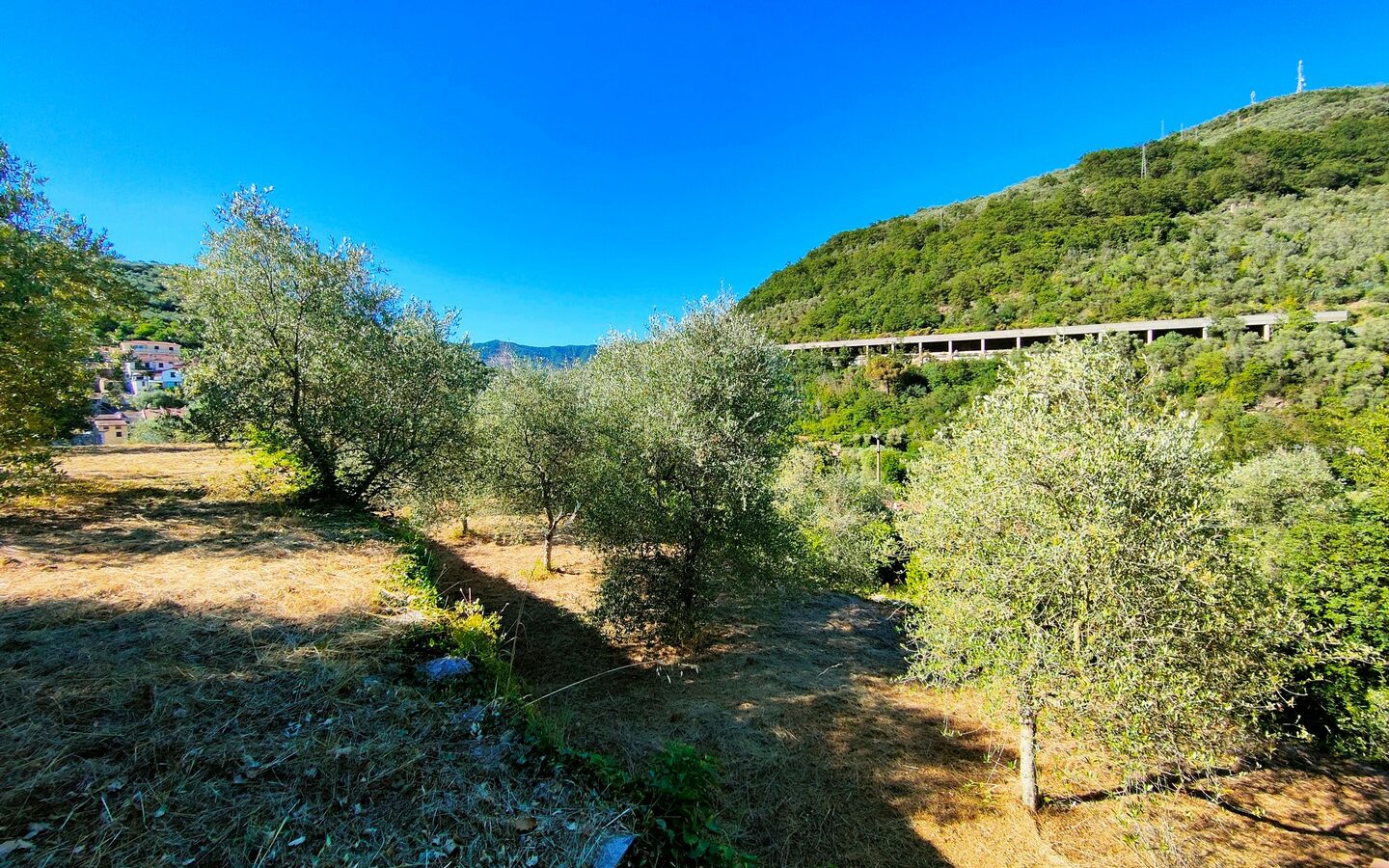 V22 Entroterra Di Imperia A Lucinasco Struttura In Cemento Armato E Terreno Con Uliveto