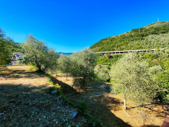 V22 Entroterra Di Imperia A Lucinasco Struttura In Cemento Armato E Terreno Con Uliveto